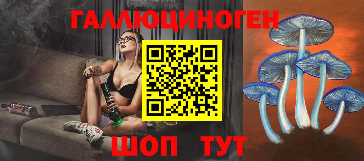 APVP Нефтекумск