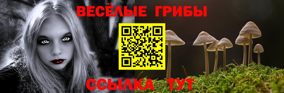 Галлюциногенные грибы Psilocybe  Вход с VPN  Нефтекумск 