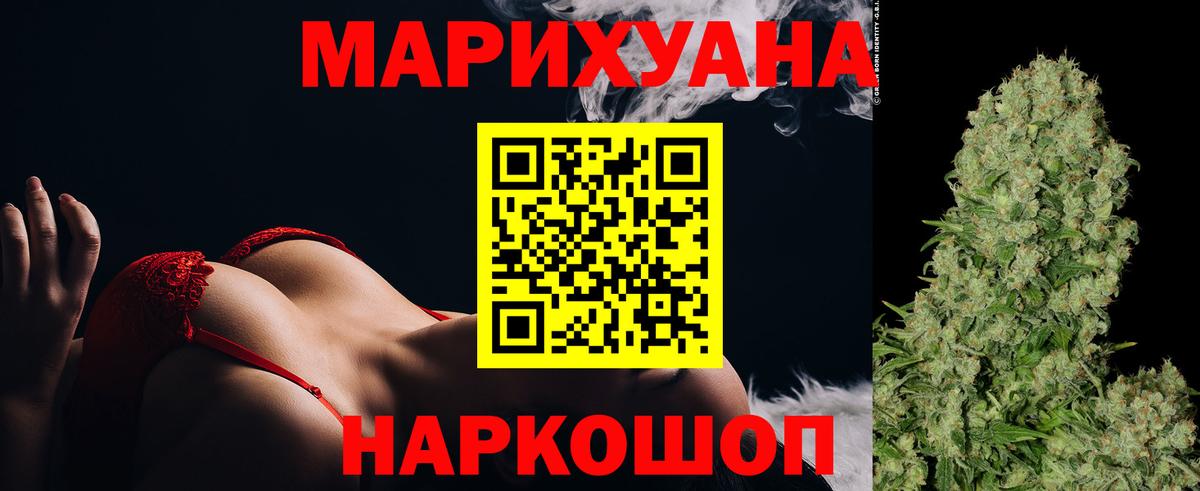 Конопля гибрид Нефтекумск